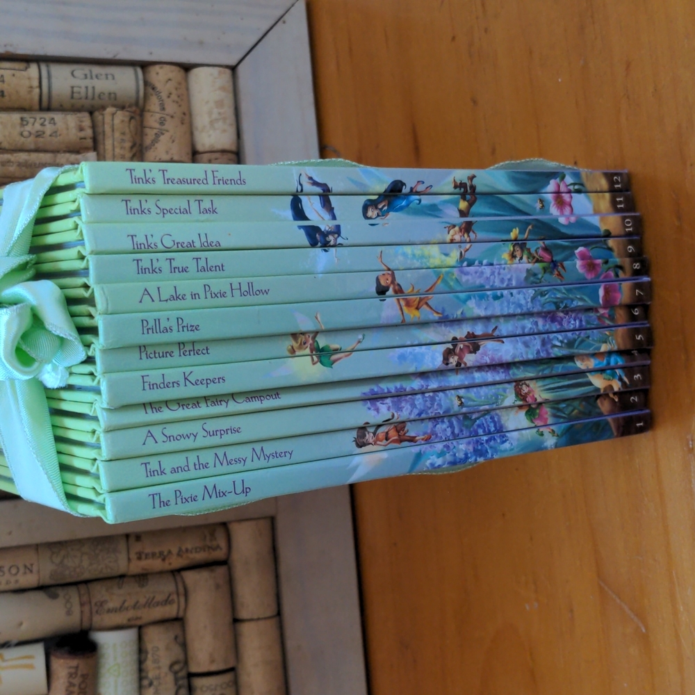 Disney Fairies storybook library
